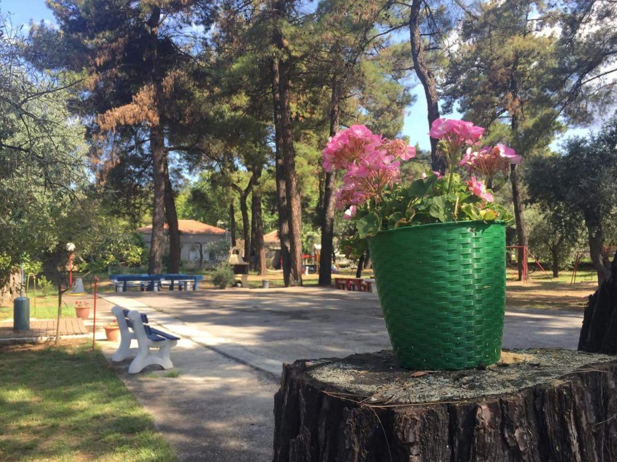 Apartmán Nisteri Seaside Limenas  Exteriér fotografie