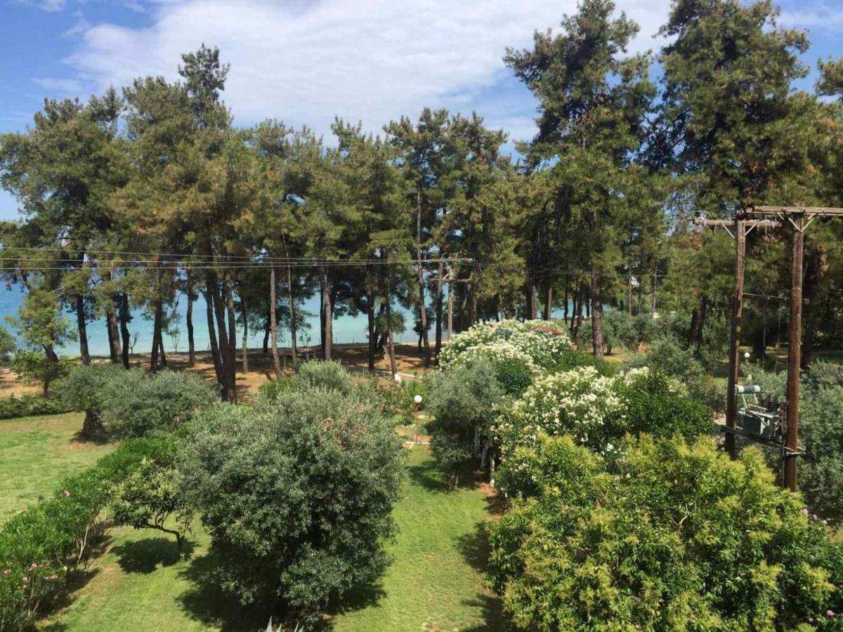 Apartmán Nisteri Seaside Limenas  Exteriér fotografie