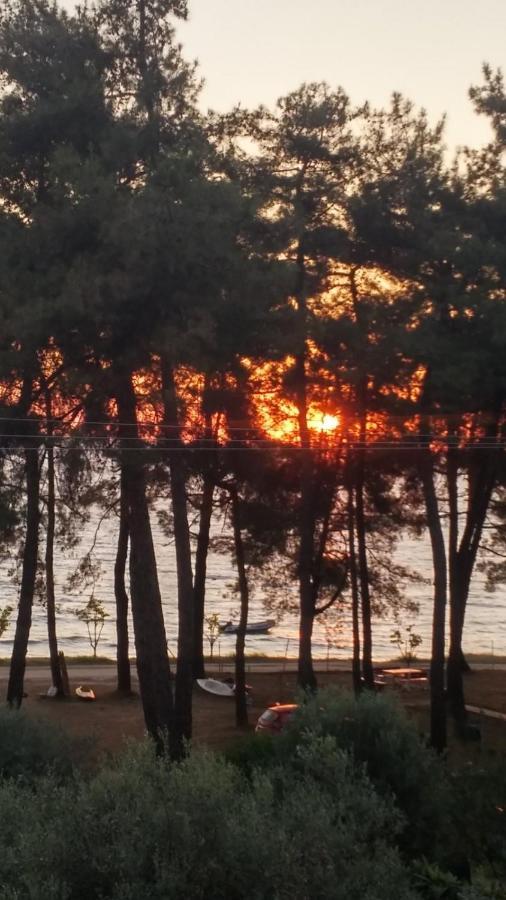 Apartmán Nisteri Seaside Limenas  Exteriér fotografie