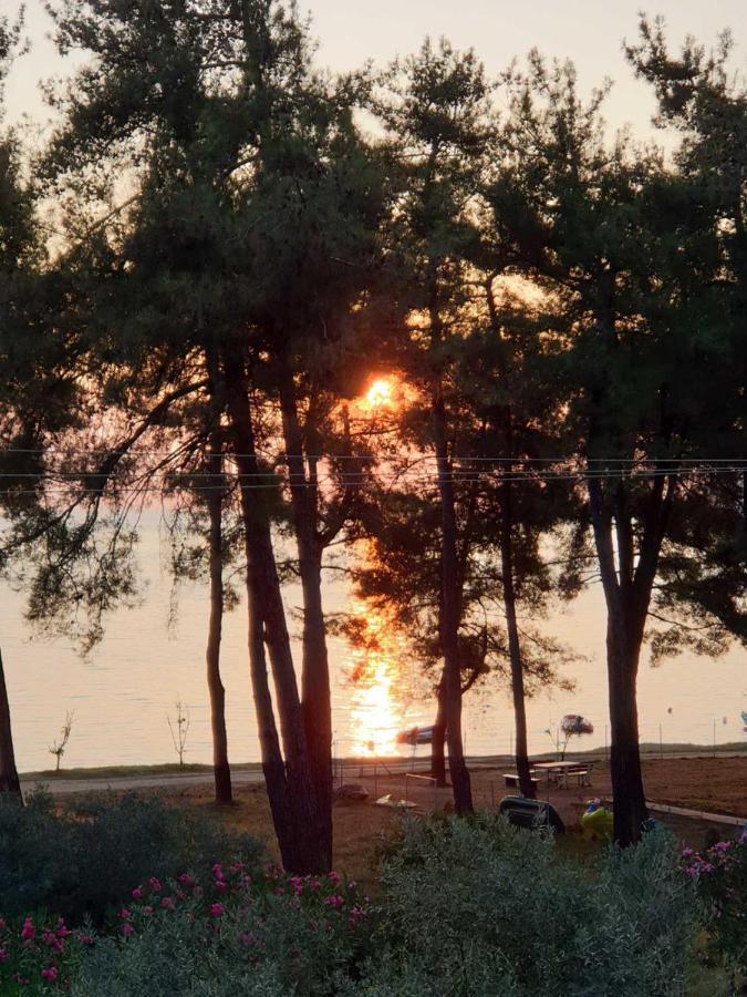 Apartmán Nisteri Seaside Limenas  Exteriér fotografie